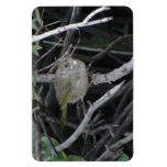 Beaver Dam Slough Fauna Birds Aves Animals Flexible Magnets