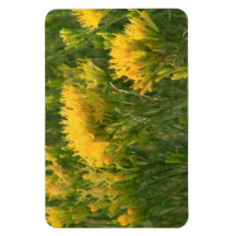 Beaver Dam Slough Flora Flowers Plants Botany Vinyl Magnet