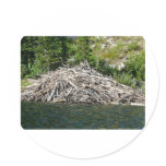 beaver dam sticker