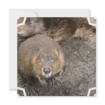 Beaver Design Invitations