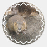 Beaver Design Stickers