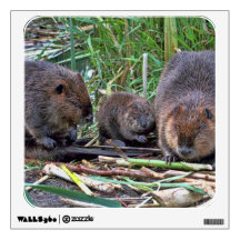 Beaver Family Wall Decals