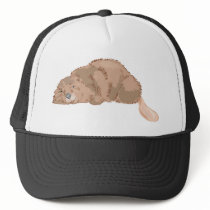 Beaver hats