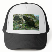 Beaver Mesh Hat