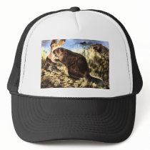 Beaver hats