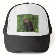 Beaver Hats