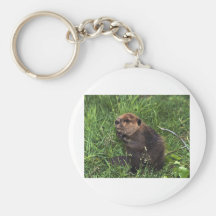 Beaver Key Chains