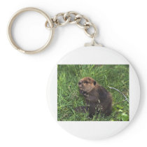 Beaver Key Chains