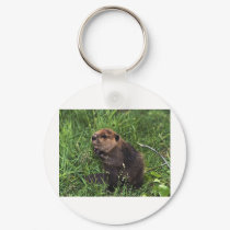 Beaver keychains by animalworld Beaver keychains