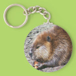 Beaver Key Chain