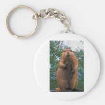 Beaver Keychain