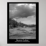 Beaver lakes print