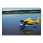 Beaver, landing on river card