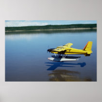 Beaver, landing on river posters