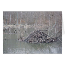 Beaver Lodge #1 Note Card