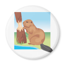 Beaver Fridge Magnets
