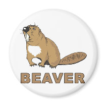 Beaver Fridge Magnets