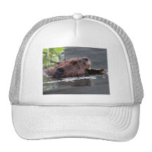 beaver mesh hat