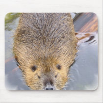 Beaver Mouse Pad
