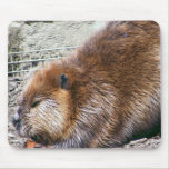 Beaver Mouse Pad