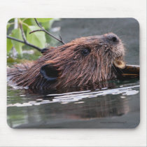 Beaver mousepads by WorldDesign Beaver mousepads