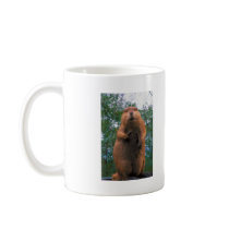 Beaver mugs