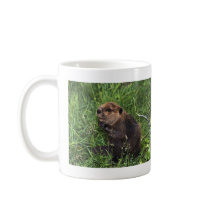 Beaver mugs