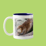 Beaver Mugs