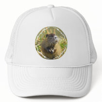 Beaver Photo Baseball hat