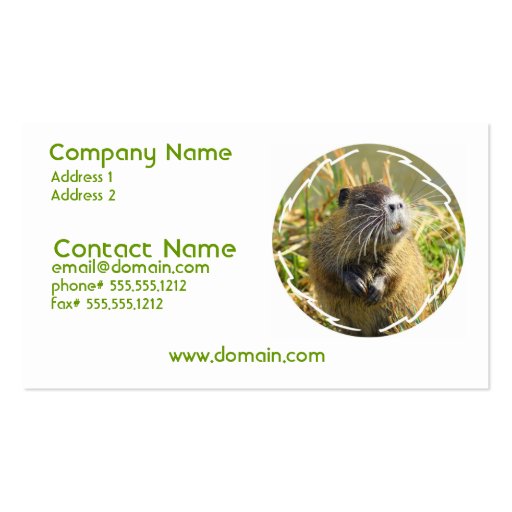 Beaver Photo Business Card (front side)