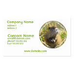 Beaver Photo Business Card