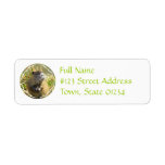 Beaver Photo Mailing Label