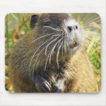 Beaver Photo Mouse Pad