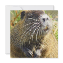 Beaver Photo Poster Personalized Announcement