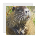 Beaver Photo Poster Personalized Announcement