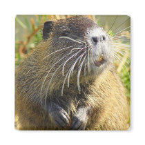 Beaver Photo Square Magnet