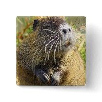 Beaver Photo Square Pin