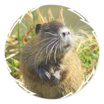 Beaver Photo Stickers