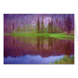 Beaver Pond cards