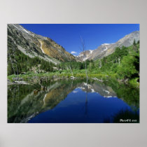 Beaver Pond, Lundy Canyon Posters