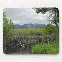 Beaver Pond mousepads