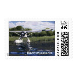 Beaver Pond postage