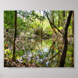 Beaver pond posters