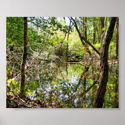 Beaver pond posters by Huntin_Guy