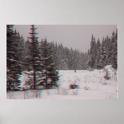 Beaver Ponds Print by JayDee