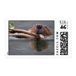 Beaver postage