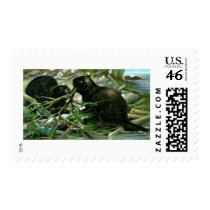Beaver Stamp