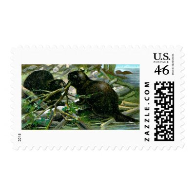 Beaver Stamp by pinkalmond