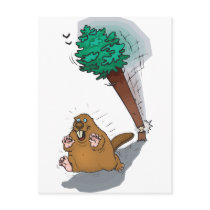 Beaver postcards