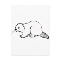 Beaver Post Card